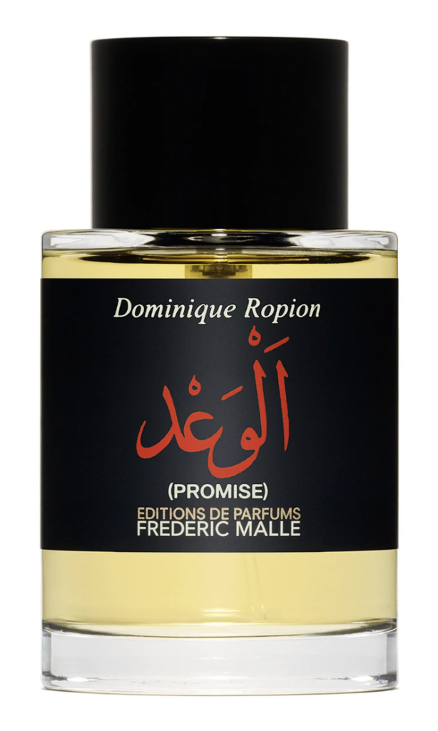 man's cologne promise by dominique ropion